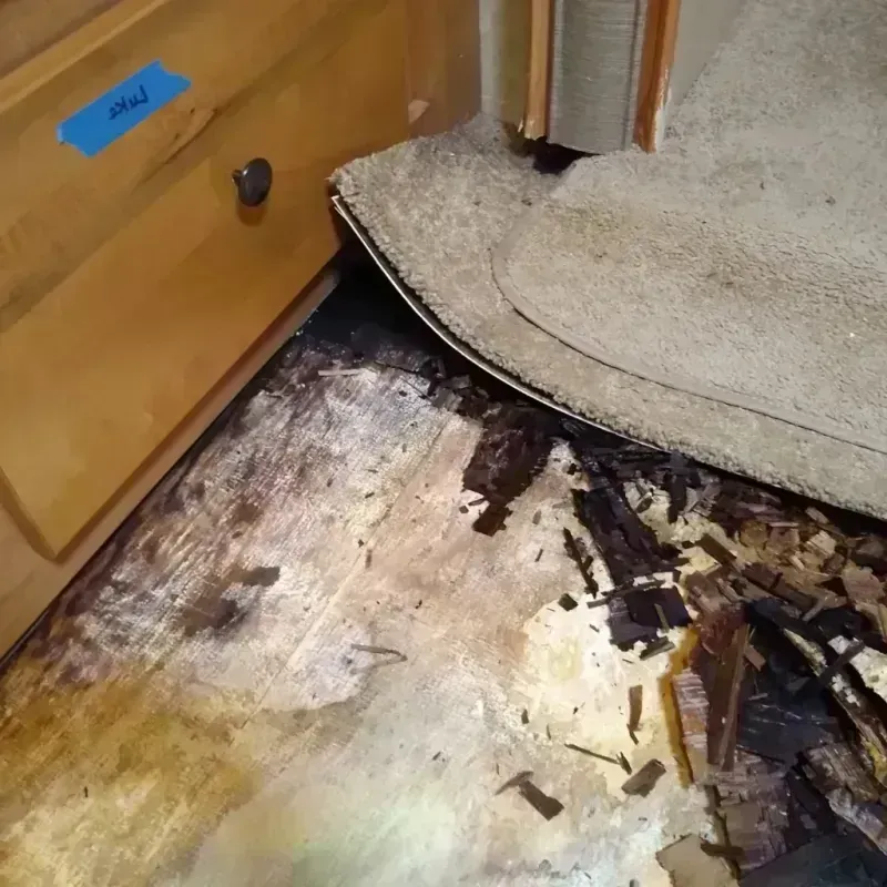 Wood Floor Water Damage in Kilmanagh, MI